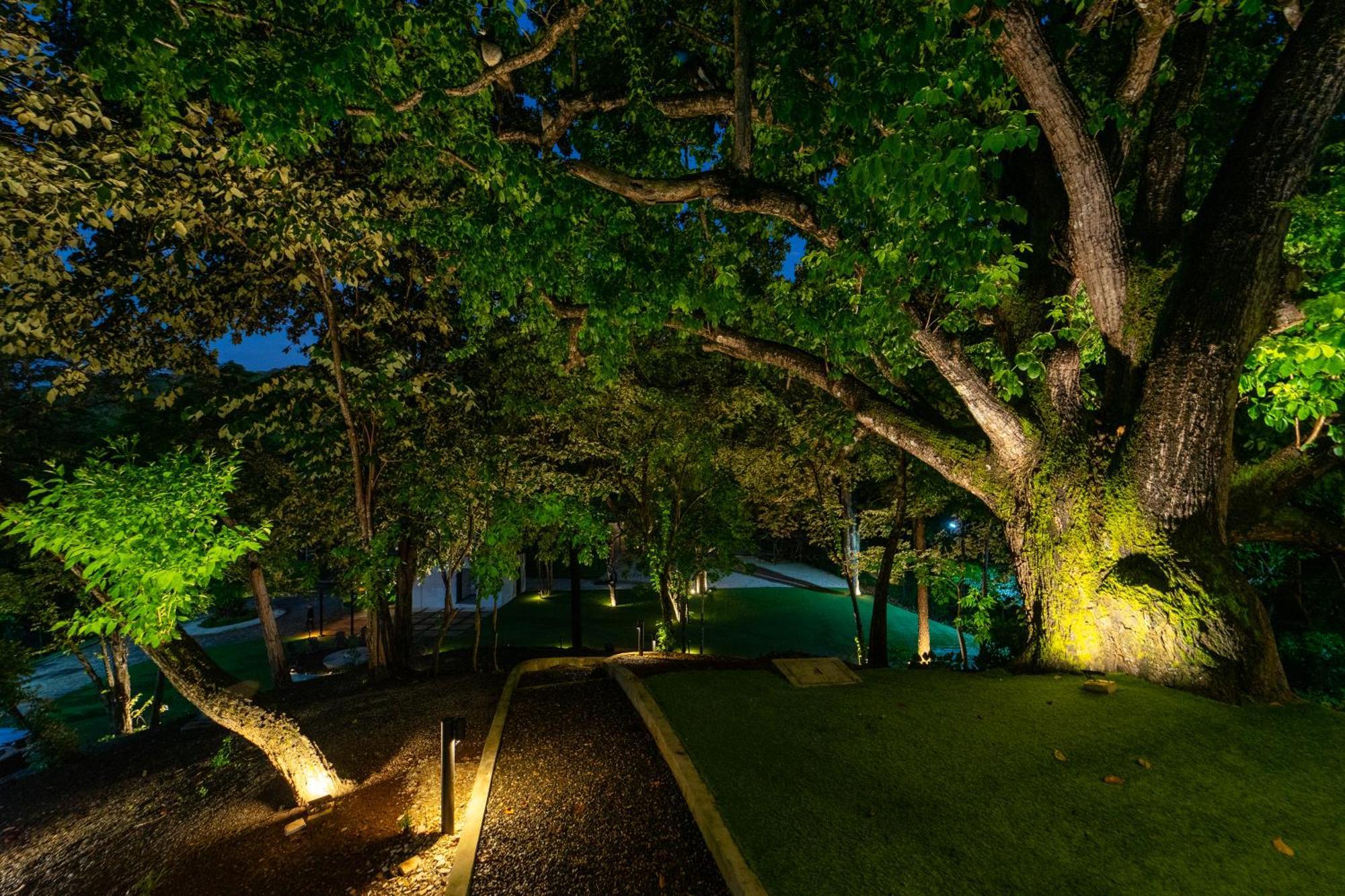 Epic Tamarindo Boutique Hotel Villarreal エクステリア 写真